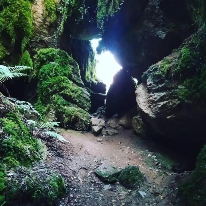 Apartamentos Camino A Ribeira Quiroga Dış mekan fotoğraf